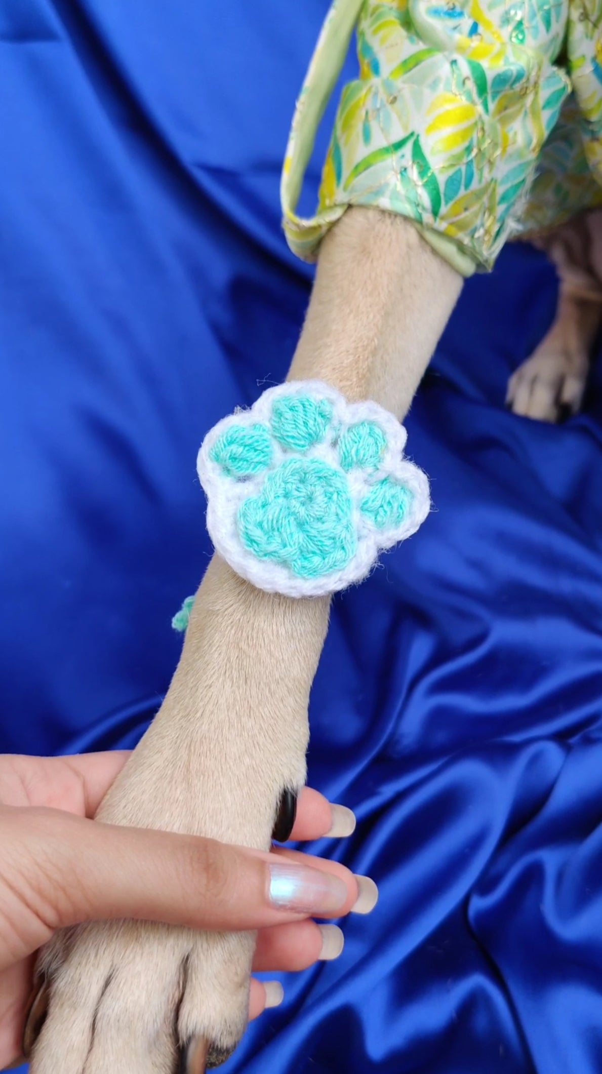 Crochet Mint Paw Rakhi