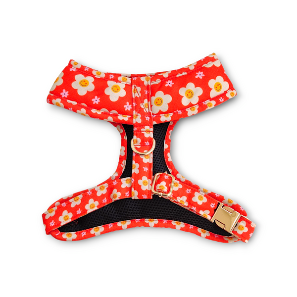 Blooming Smiles Harness