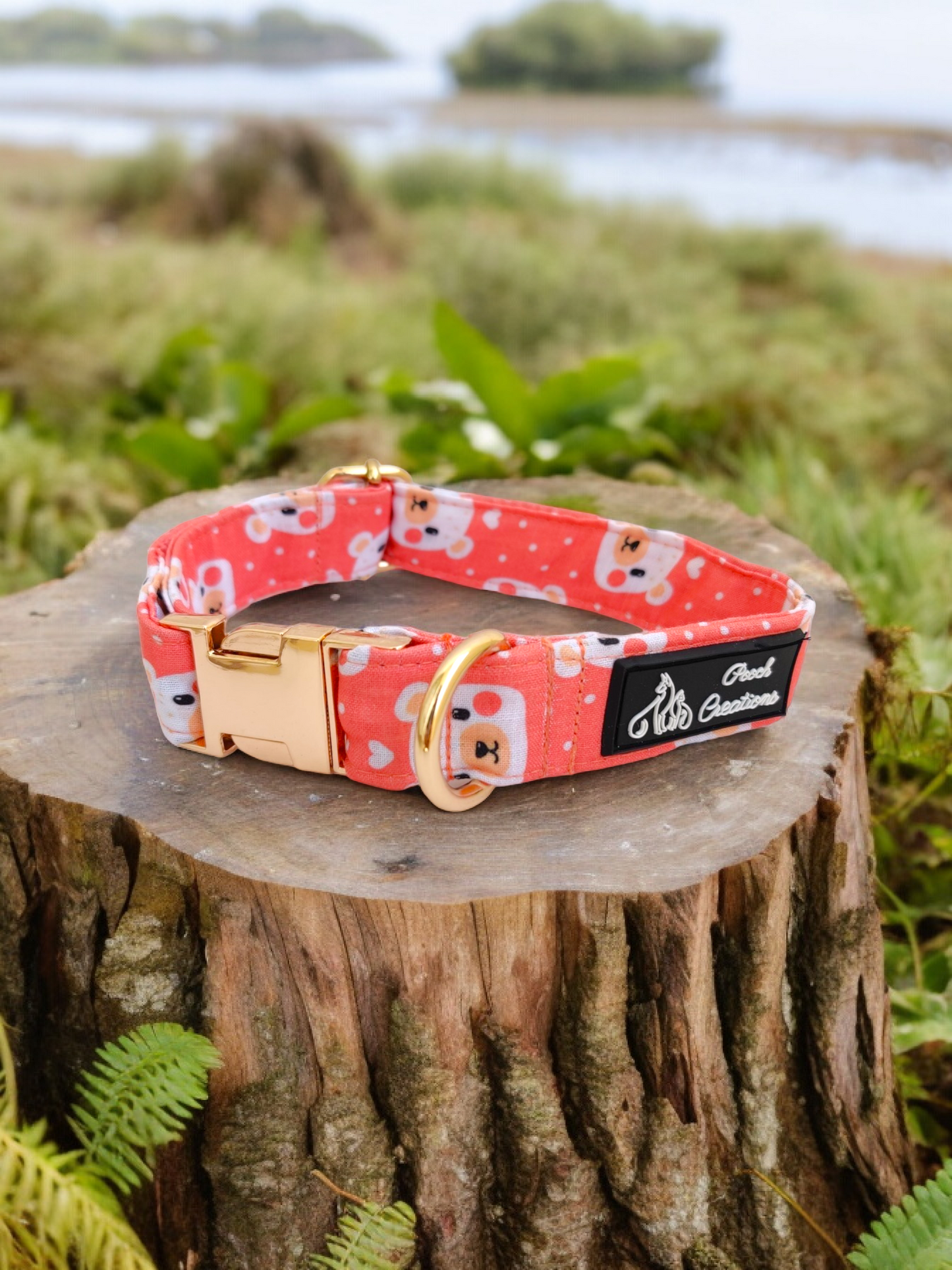 Bear-y Cute Collar