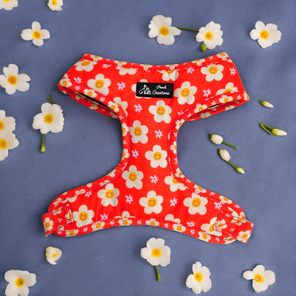 Blooming Smiles Harness