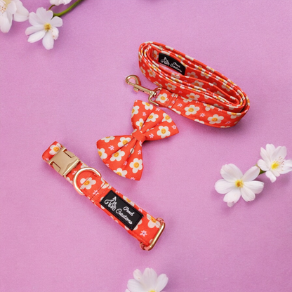 Blooming Smiles Collar + Leash + Classic Bow