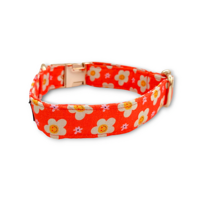 Blooming Smiles Collar