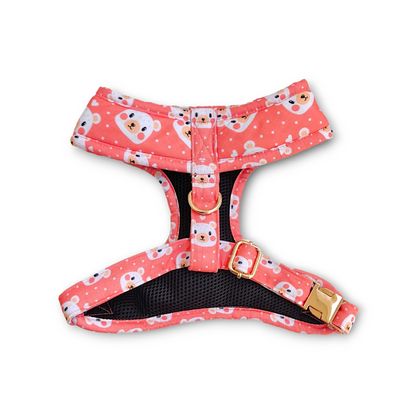 Bear-y Cute Harness + Collar + Leash + Sailor Bow