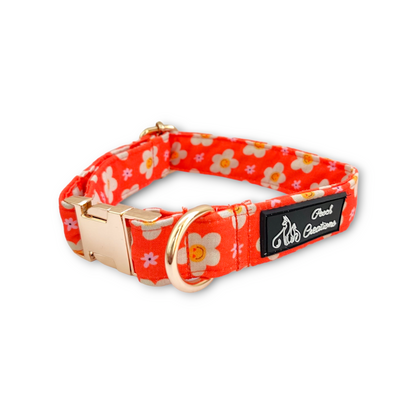 Blooming Smiles Collar