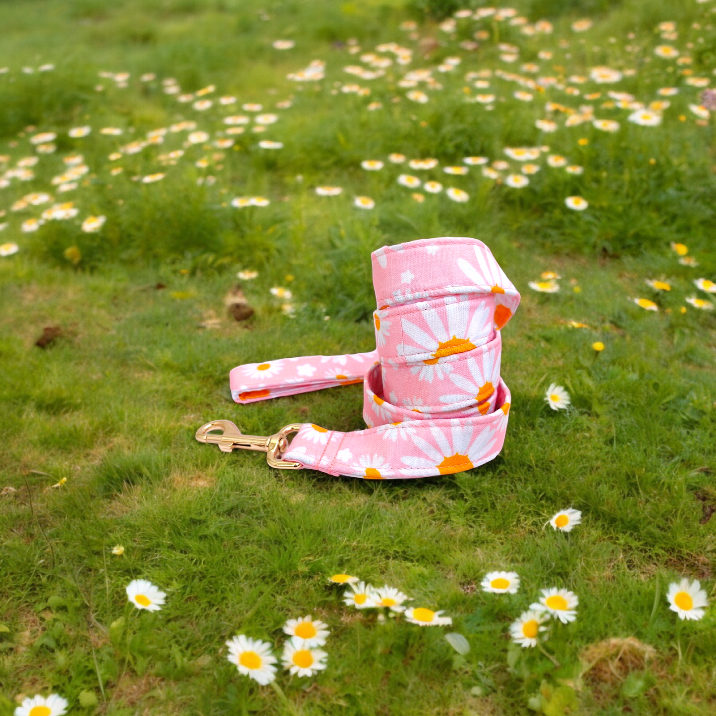 Dainty Daisy Collar + Leash + Classic Bow