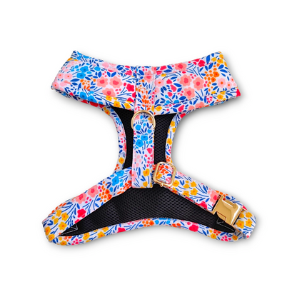 Wildflower Harness + Collar + Leash + Classic Bow