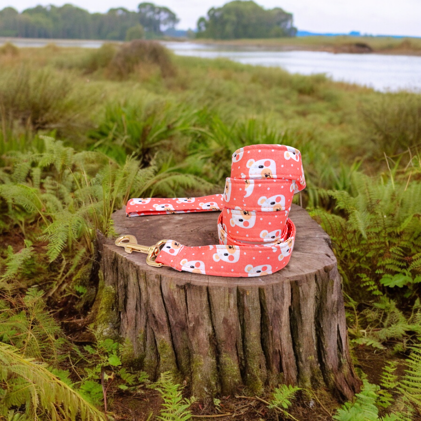 Bear-y Cute Harness + Collar + Leash + Sailor Bow