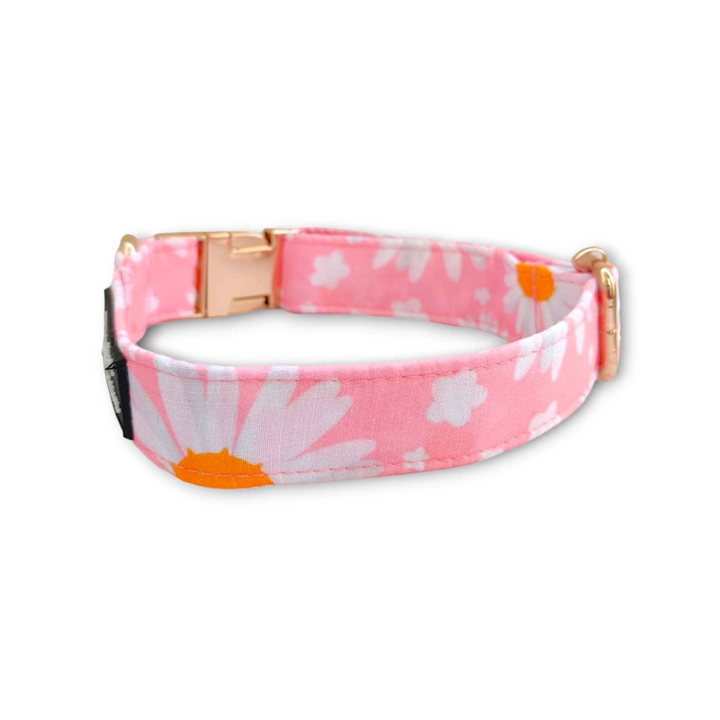 Dainty Daisy Collar