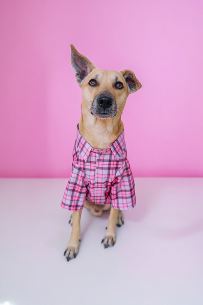 Pink Plaid Shirt