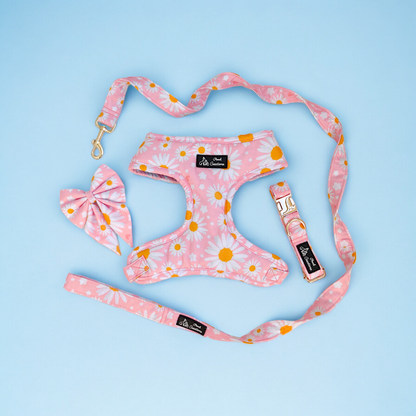 Dainty Daisy Harness + Collar + Leash + Sailor Bow