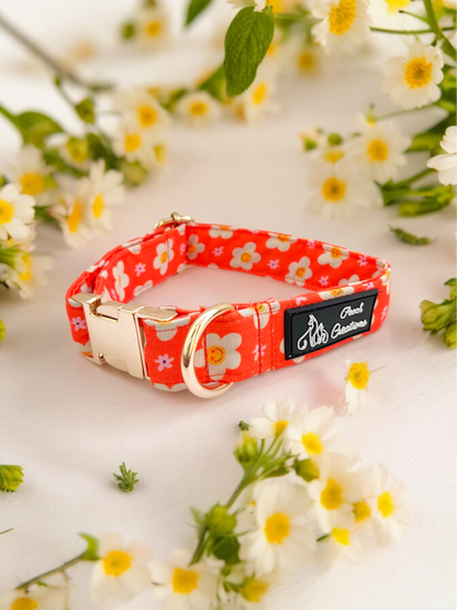 Blooming Smiles Collar + Leash + Classic Bow