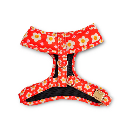 Blooming Smiles Harness + Collar + Leash + Sailor Bow