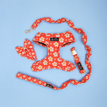 Blooming Smiles Harness + Collar + Leash + Sailor Bow