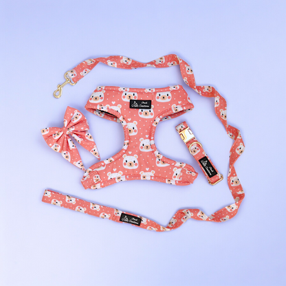 Bear-y Cute Harness + Collar + Leash + Sailor Bow